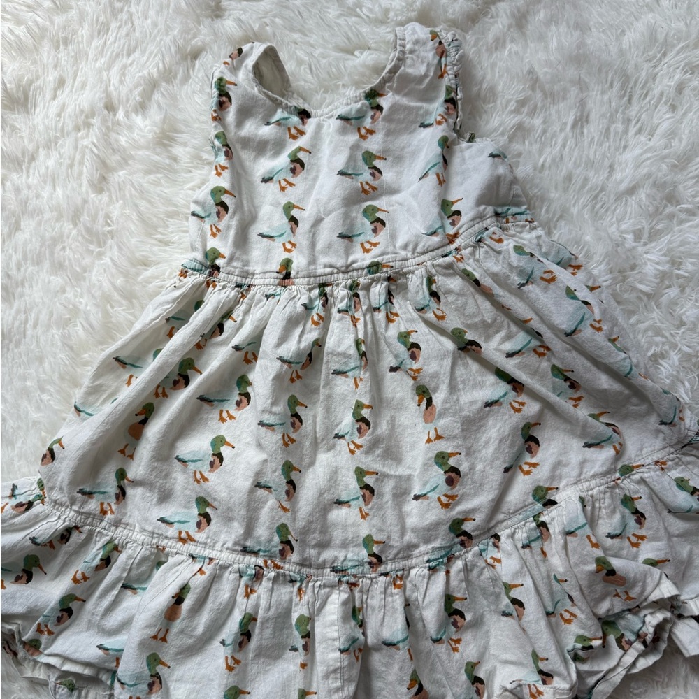 Pink Chicken duck dress